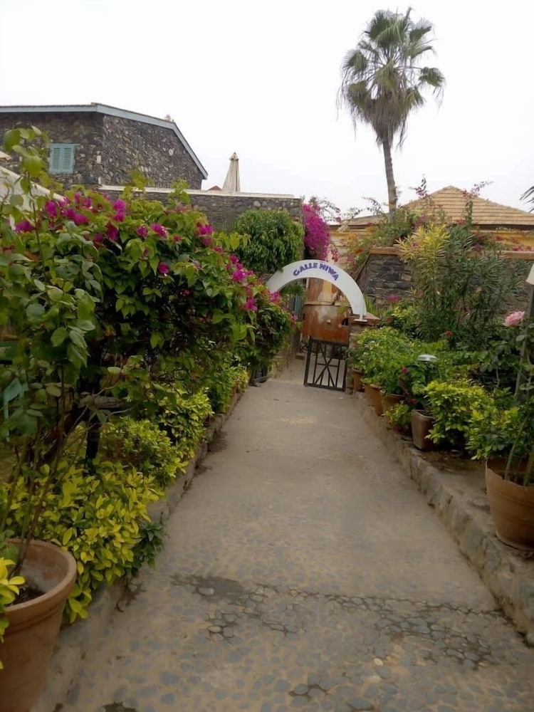 Gallé Niwa
