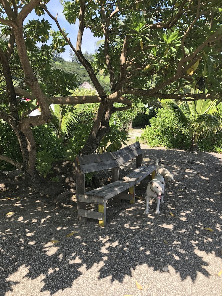 Punatea Village