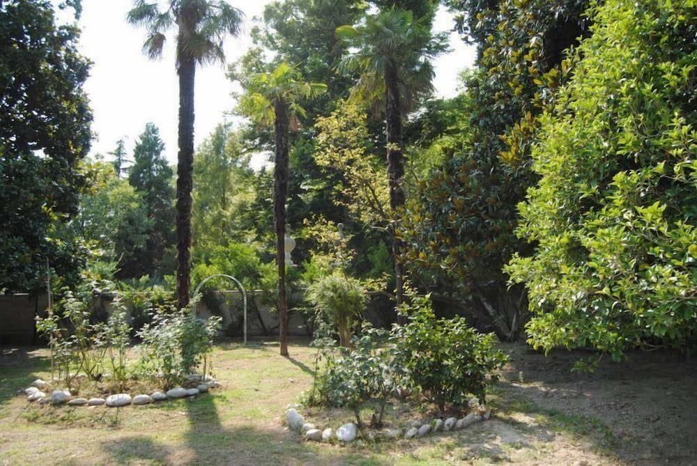 Photo 41