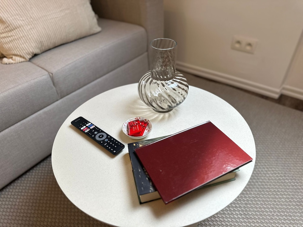 Cozy 1BR plus LR Apt Ghent Gravensteen