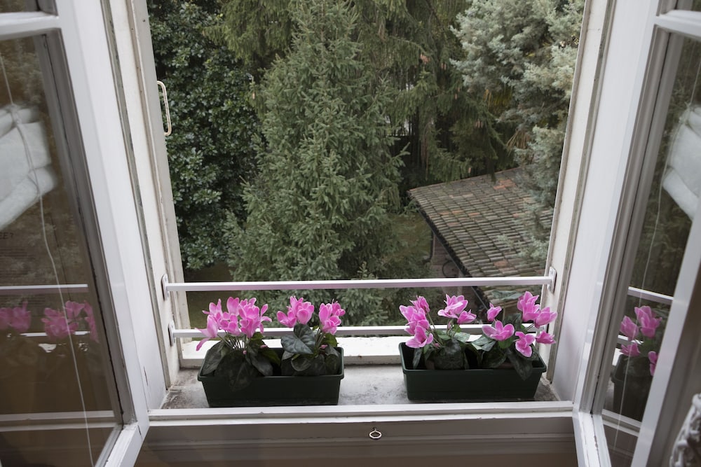 B&B Brandolese