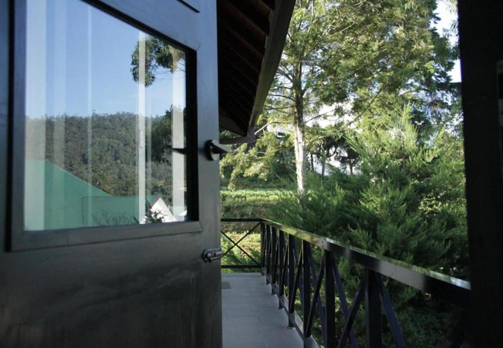 Cottage 42