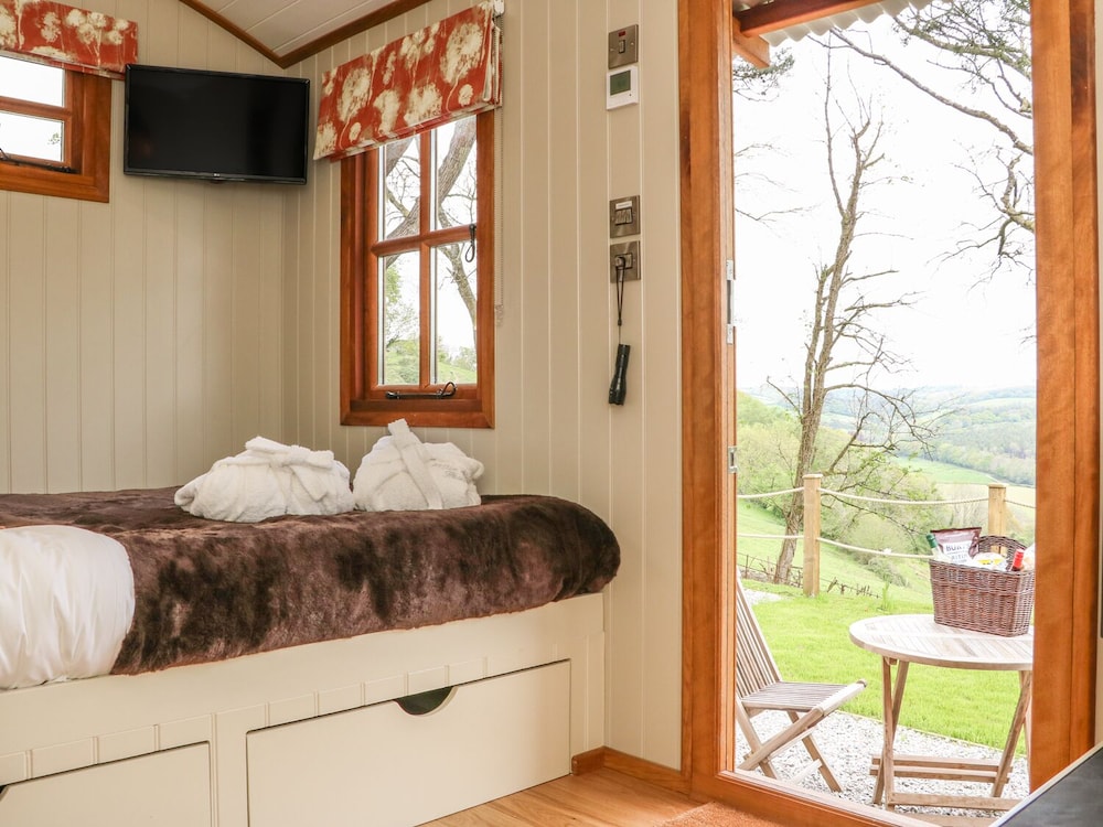 Little Silver Owl view 5