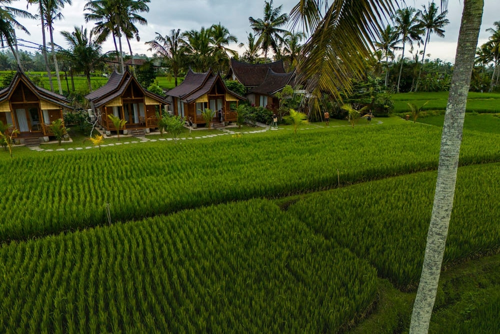 Mathura Ubud