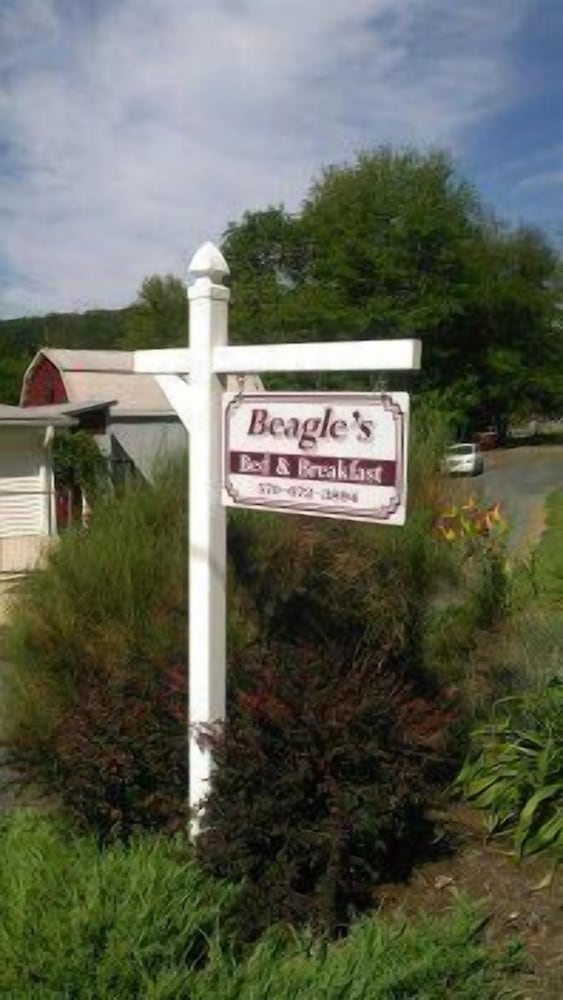 Beagle's Bed & Breakfast