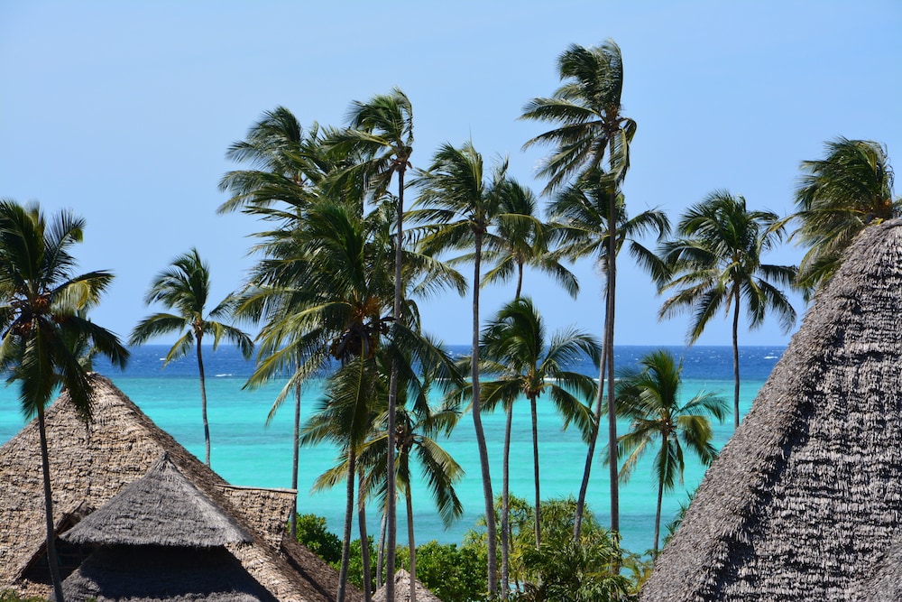 Kiwengwa Vacations - Neptune Pwani Beach Resort Spa Zanzibar - Property Image 110