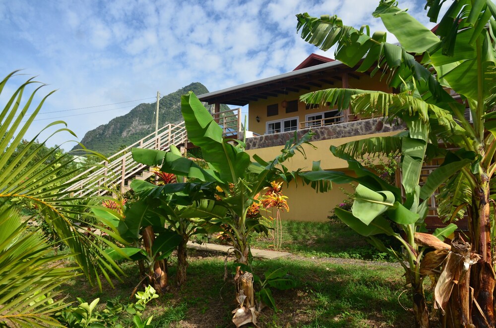 Photo 12