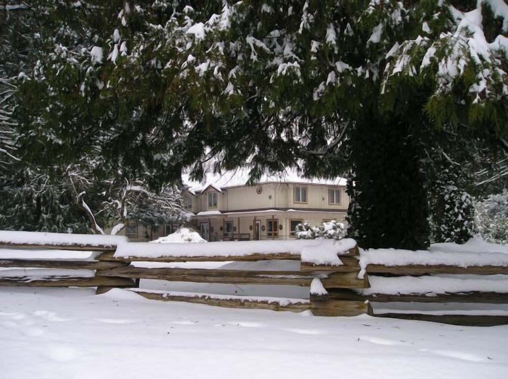 Cedar Wood Lodge B&B