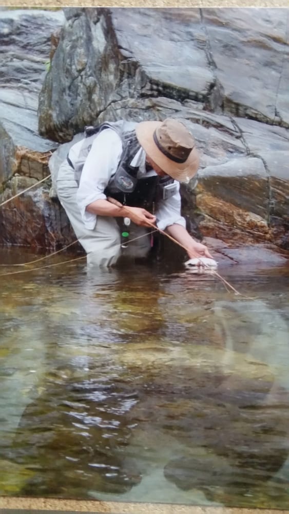 Caddis Pension