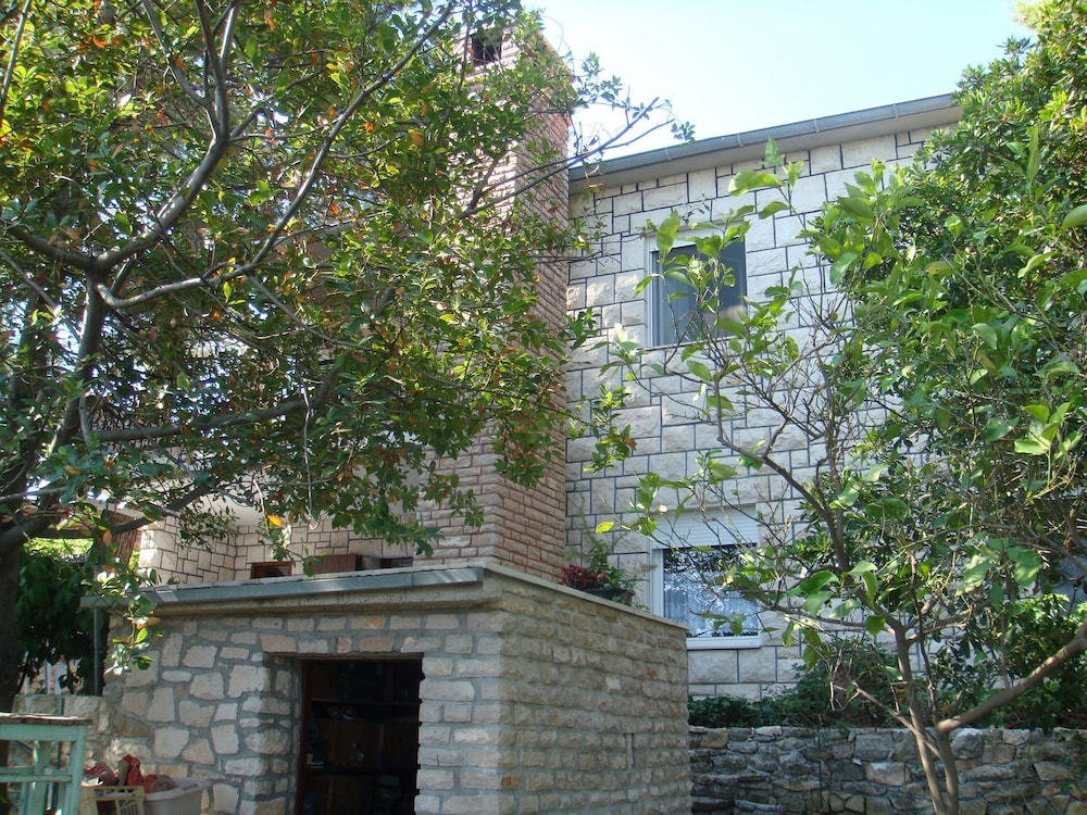 Photo 7
