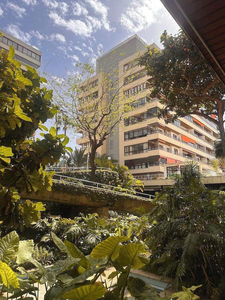 Nogalera Confort Apartments