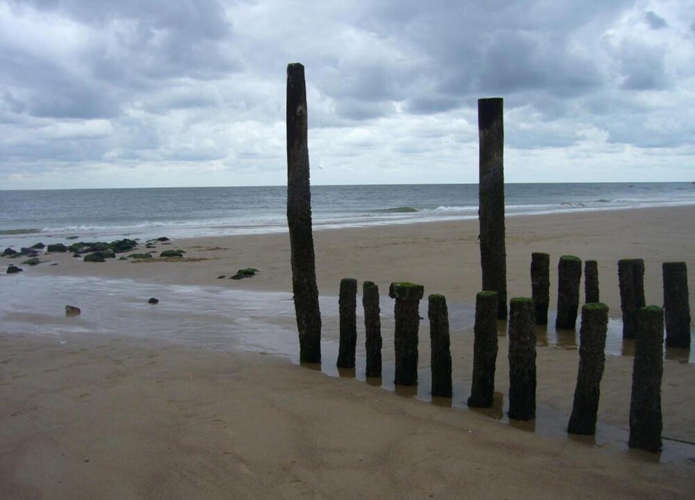 Coastal Comfort in Zoutelande