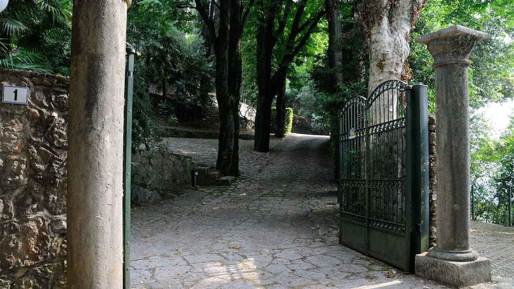Photo 24