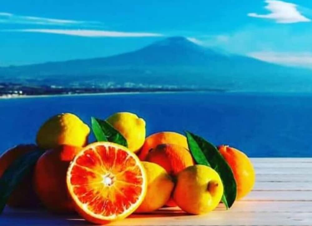 Catania Vacations - Casa Gioieni - Property Image 1