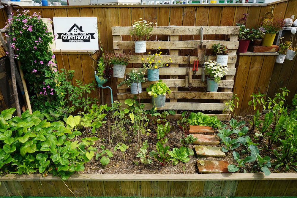 Grim Garden Guest House