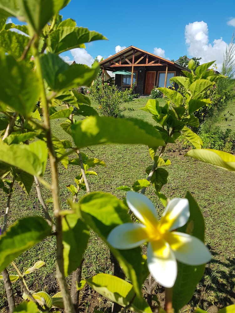 Cabañas Honu Iti