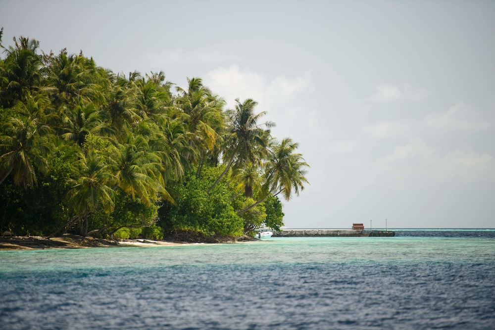 Photo 43