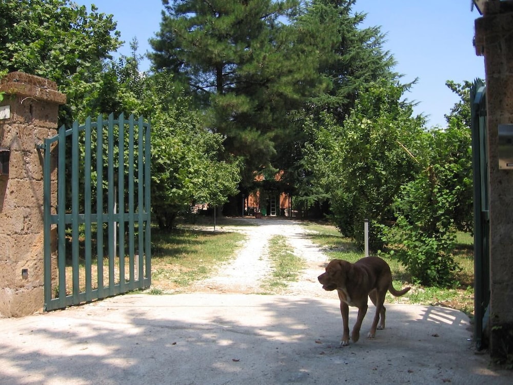 B&B Monticelli