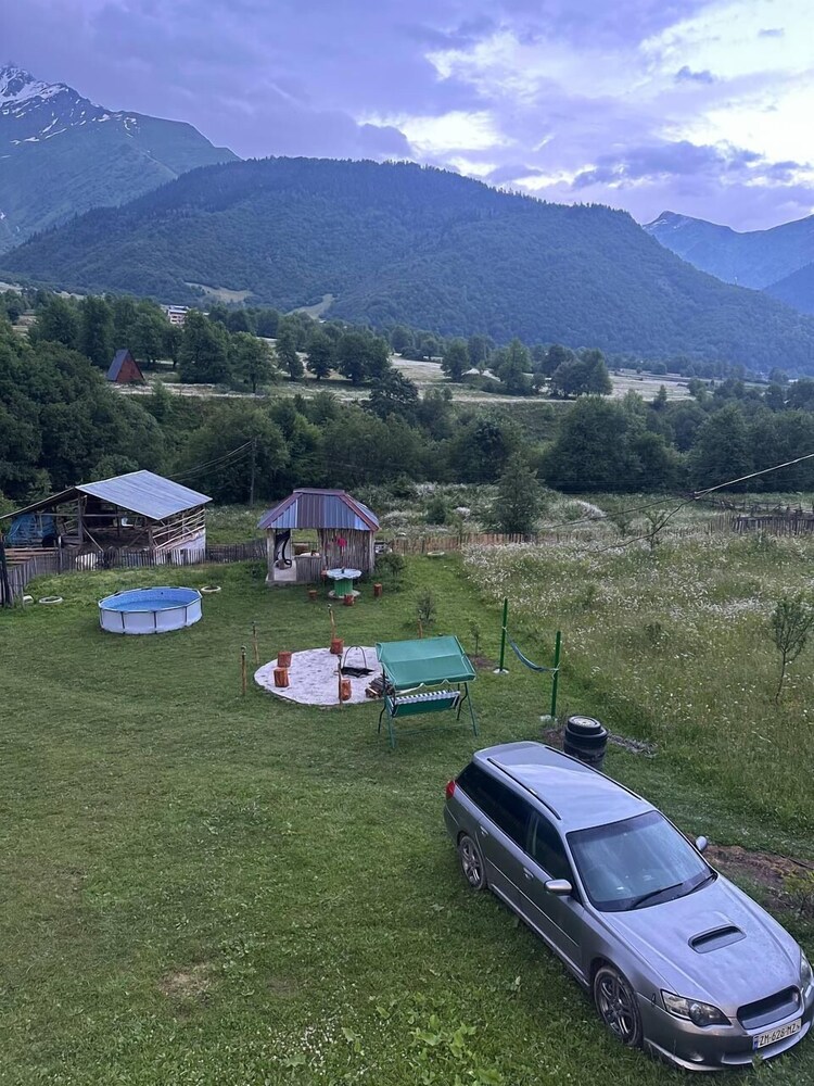 Qvis sakhli