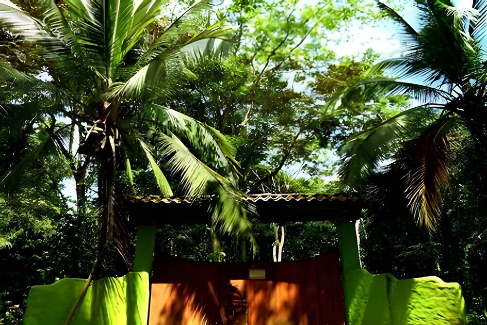 Jungle Dreamz
