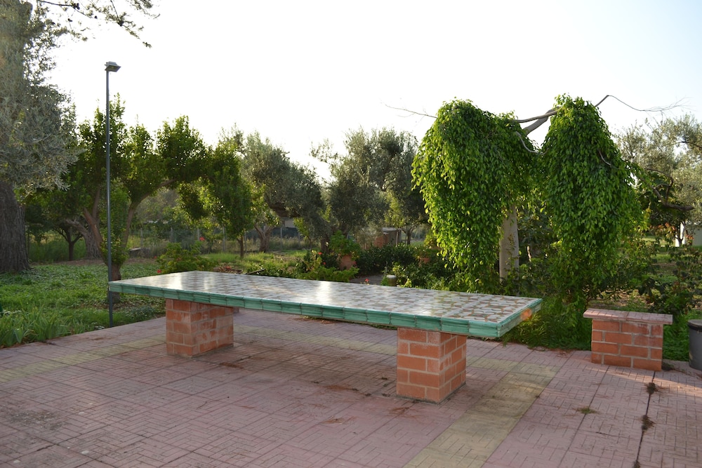 Photo 41