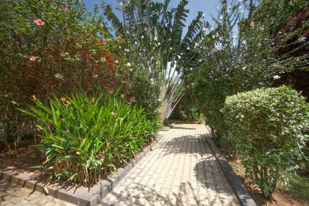 Papyrus Guest House, photo 25