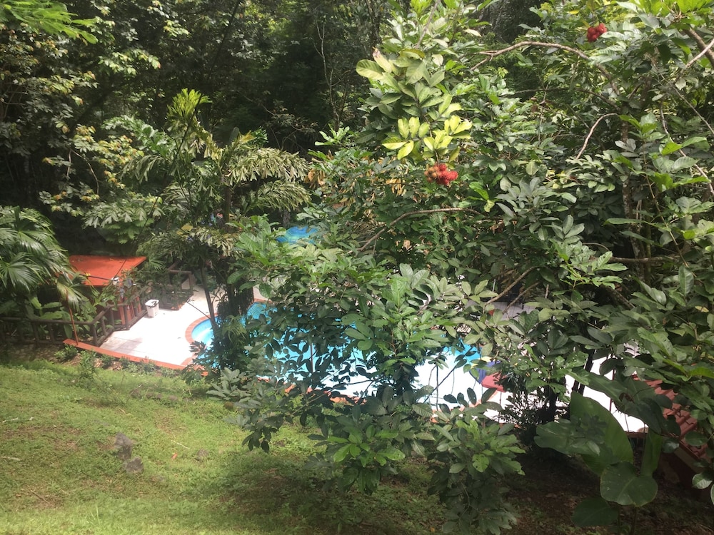 Hotel Samsara