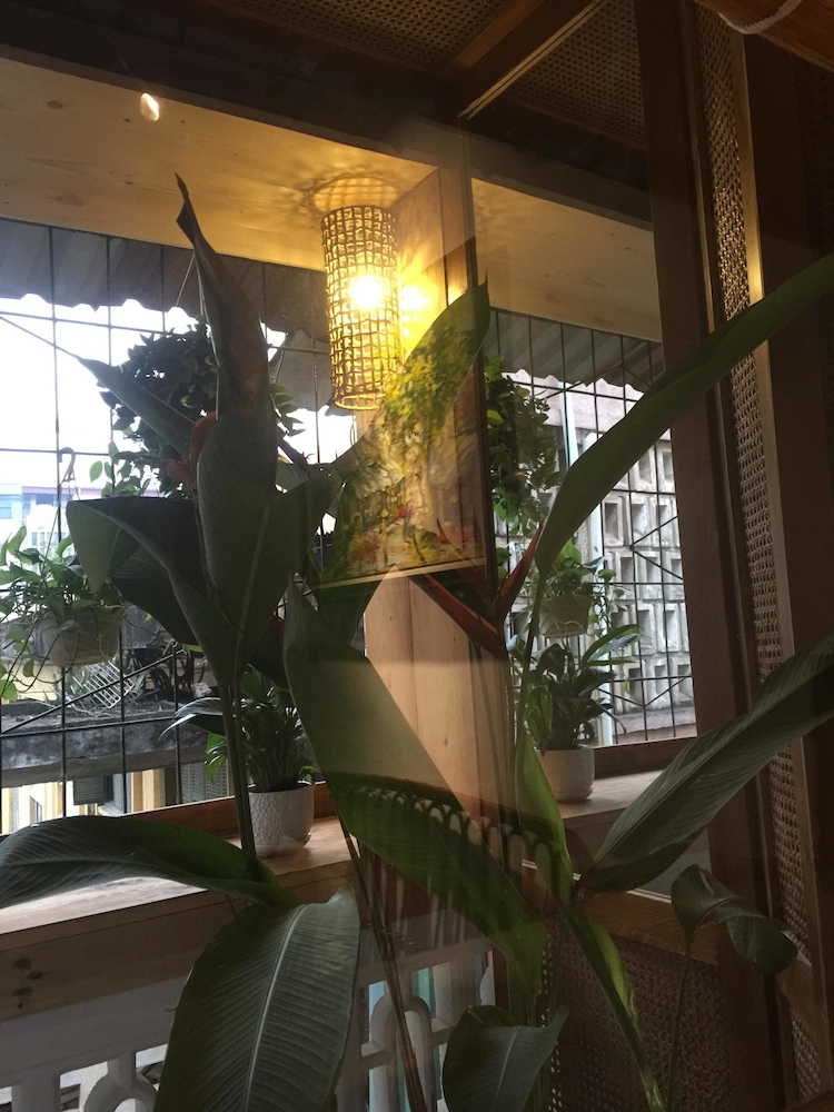 A Green Home