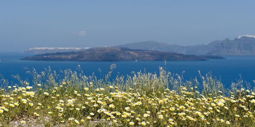 Earino Suites & Villas