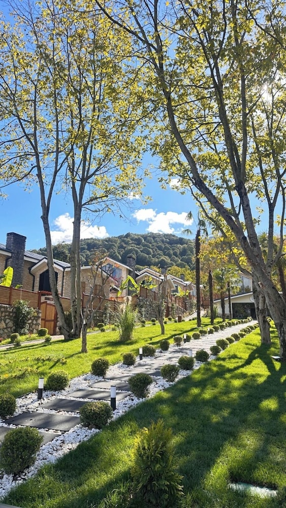 BG Sapanca No 8