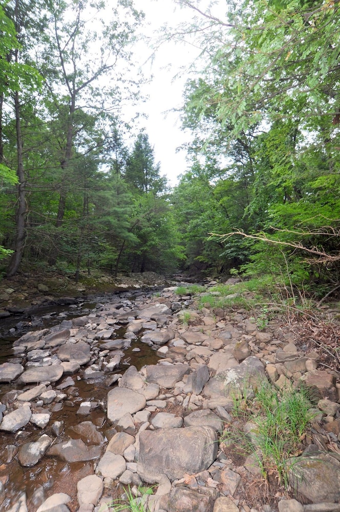 Rosies Creekside Retreat - 3 BR Escape! view 3