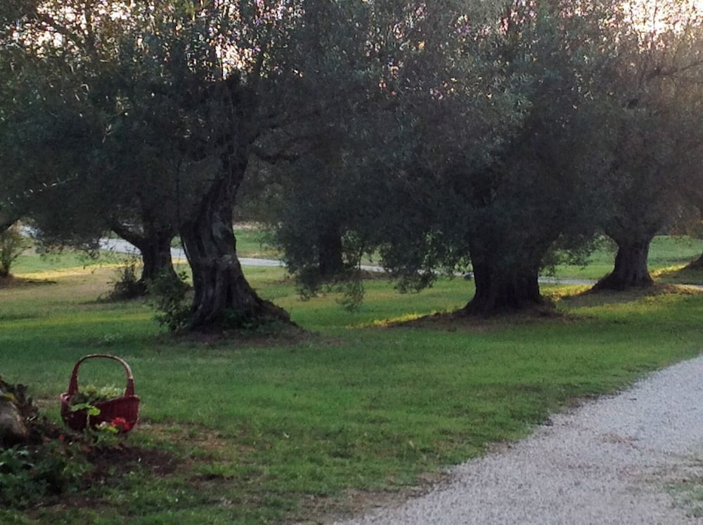 Agriturismo Borgo il Ducato