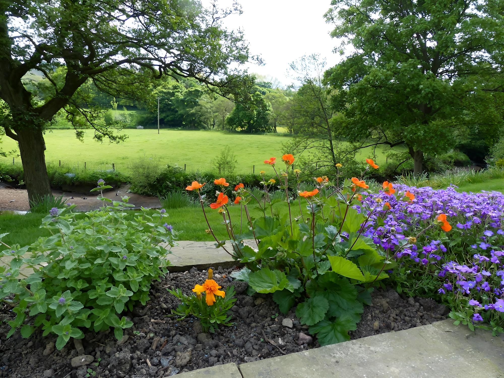 Millbrook B&B