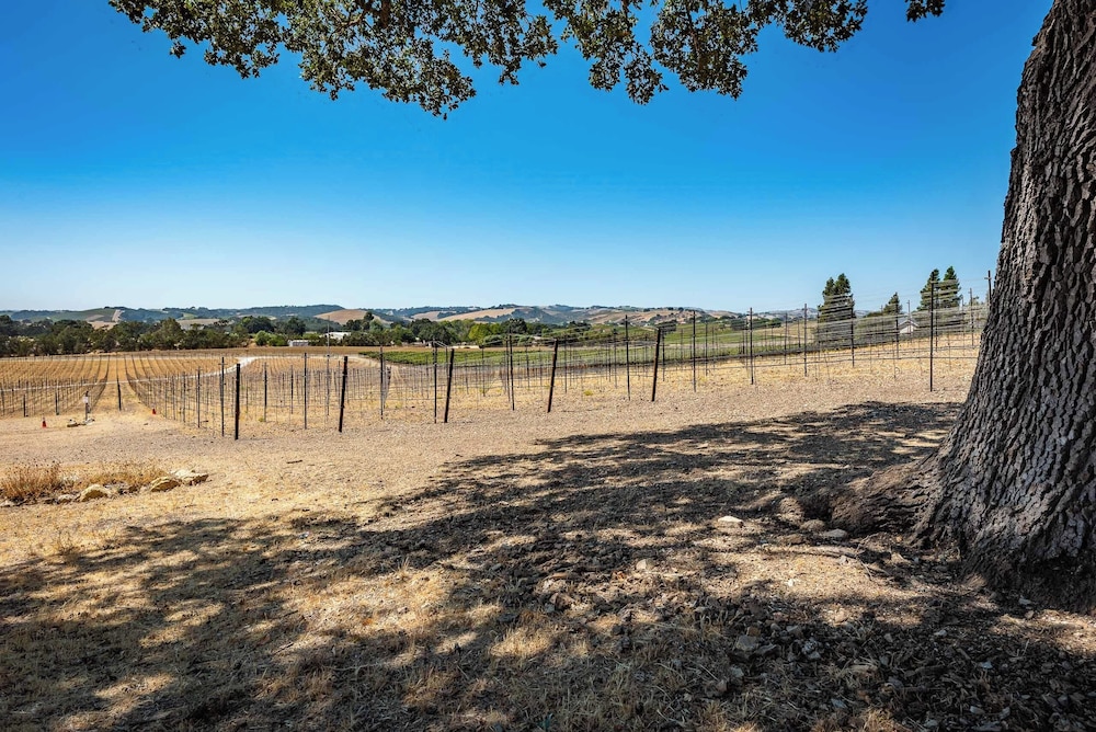Mission Vineyard Barn