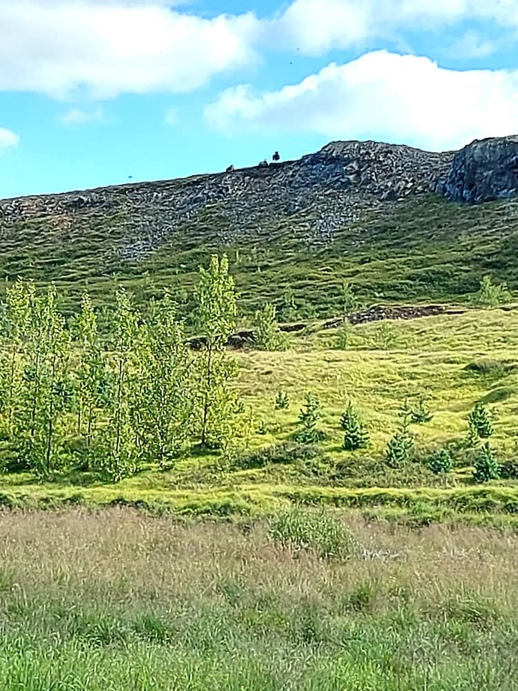 Ásgeirsstaðir Cottages