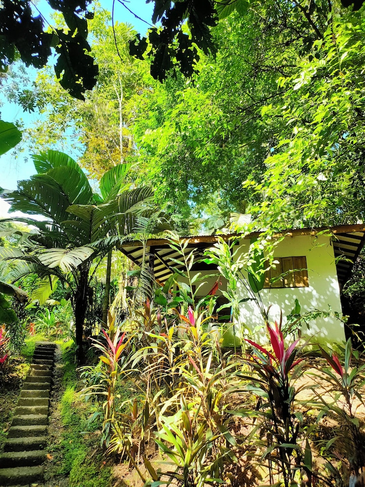 FINCA ARDILLA