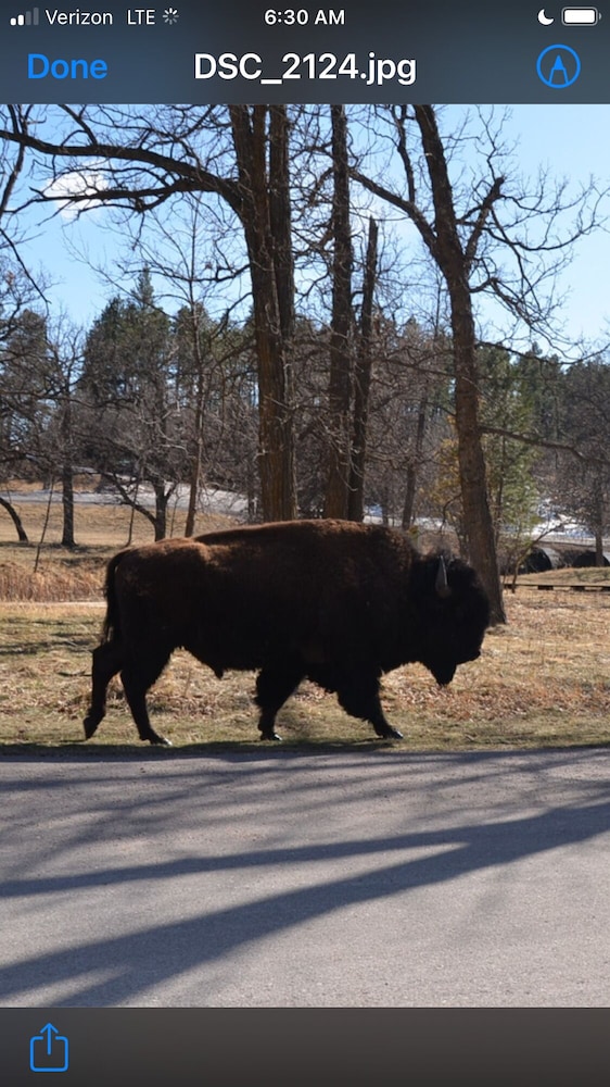 Black Elk Resort Cottages and RV Park