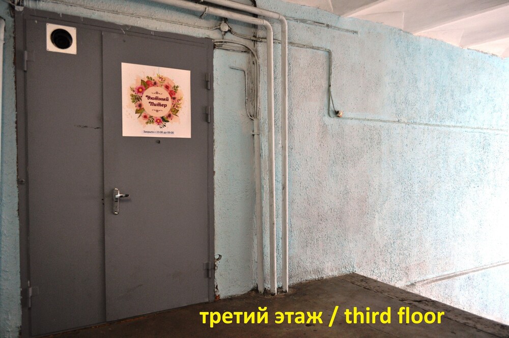 Photo 51