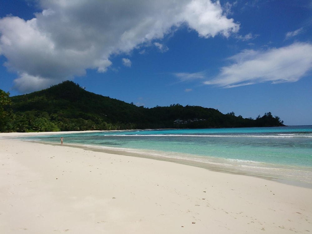 A Peace in Paradise