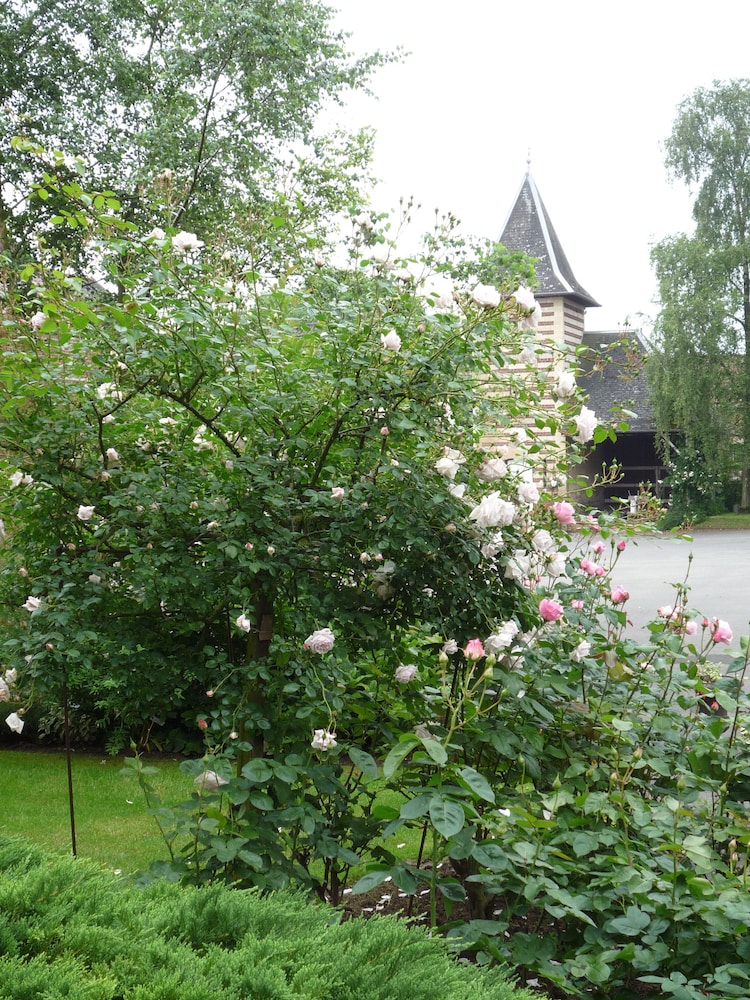 Photo 30