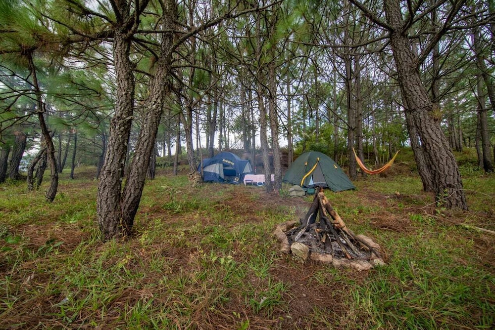 Camping de Los Peroles view 4