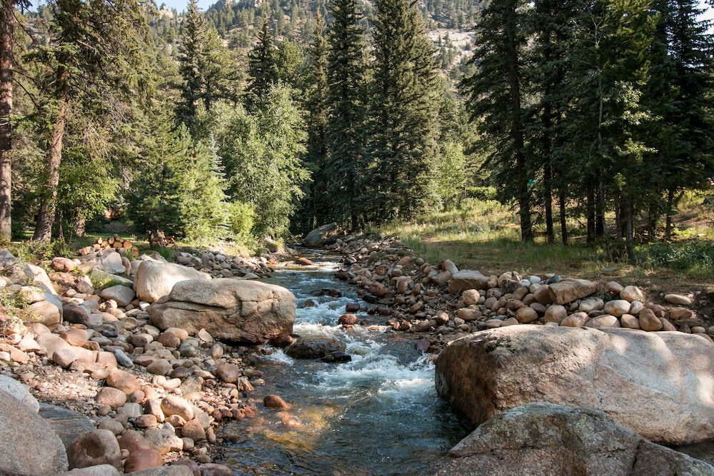 Estes Park Condos - Property Image 275