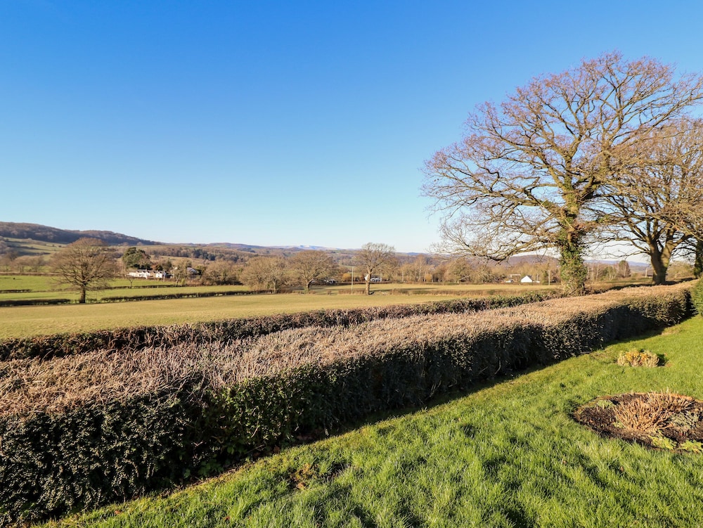 Berwyn View