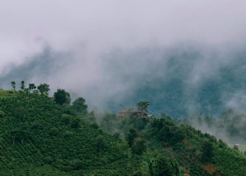 Homestay A Suy Ta Dung