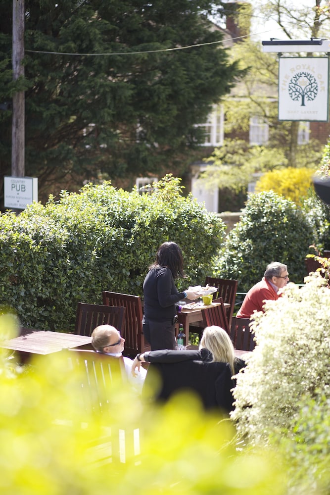 The Royal Oak