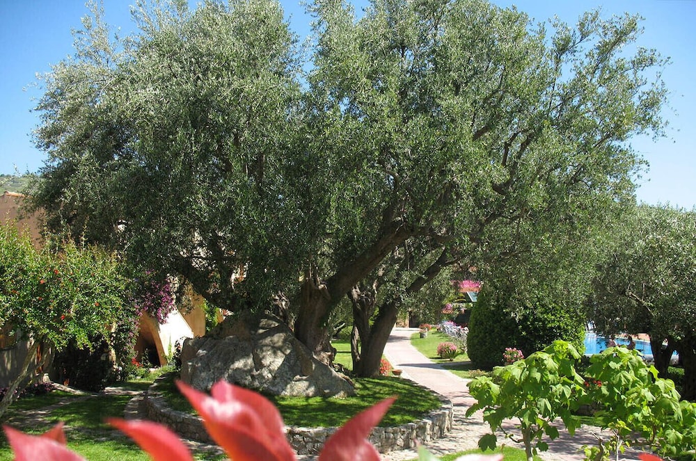 Villaggio l' Olivara