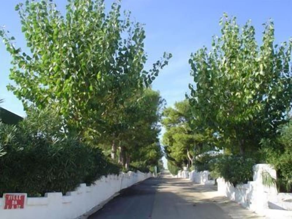 Photo 37