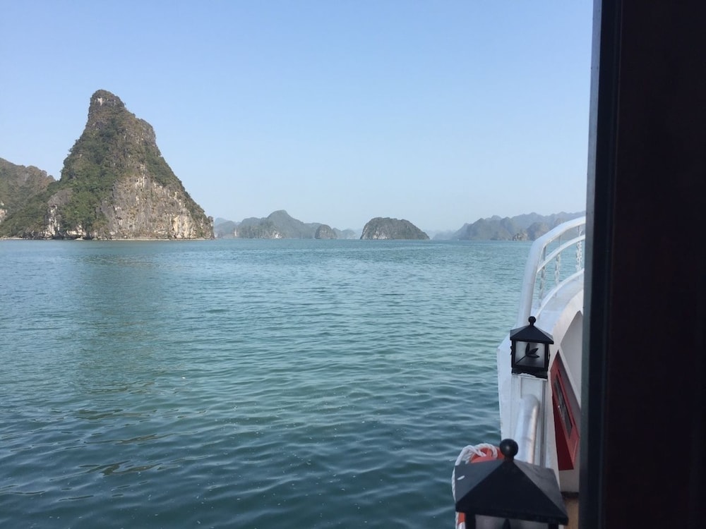 UniCharm Cruise