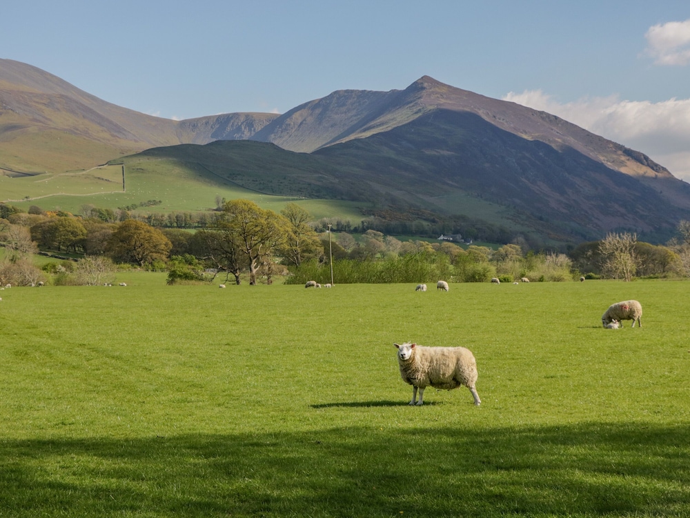Ashness