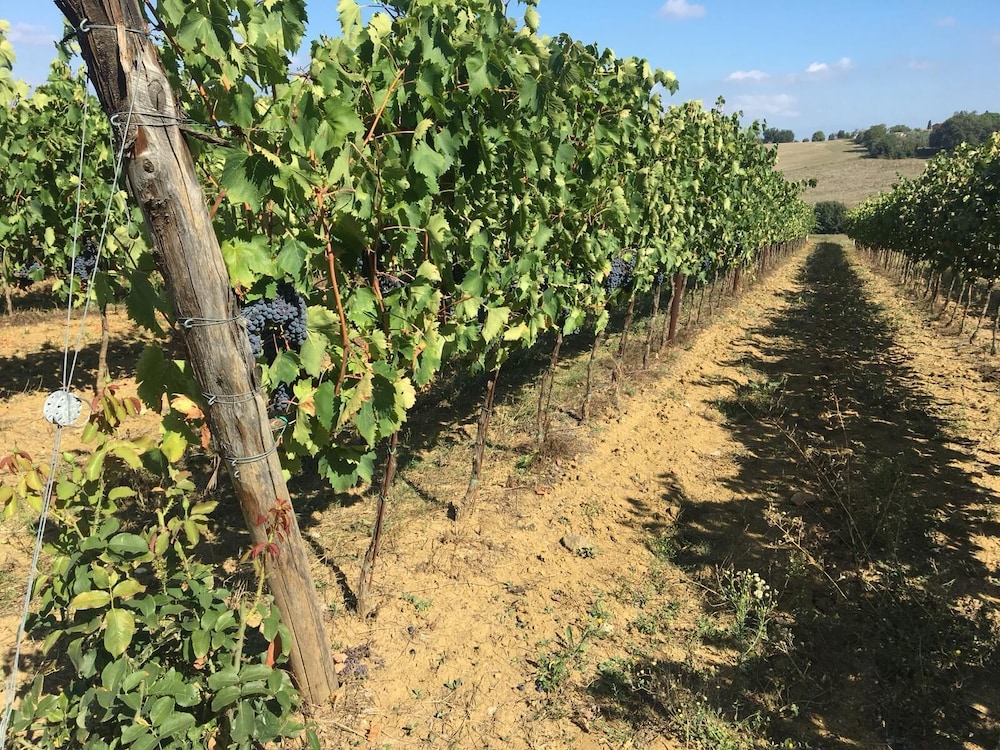 Agriturismo il Querciolo, Billede 79